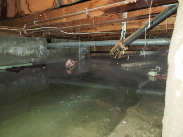 Best Ceiling water damage repair  in Austin, TX