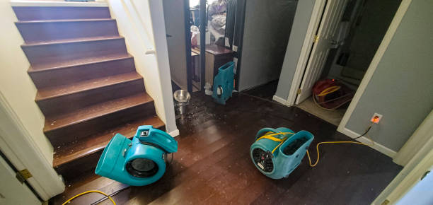 Best Water damage restoration specialists  in Austin, TX