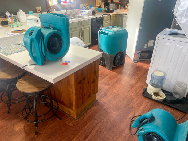Best Water damage contractors near me  in Austin, TX