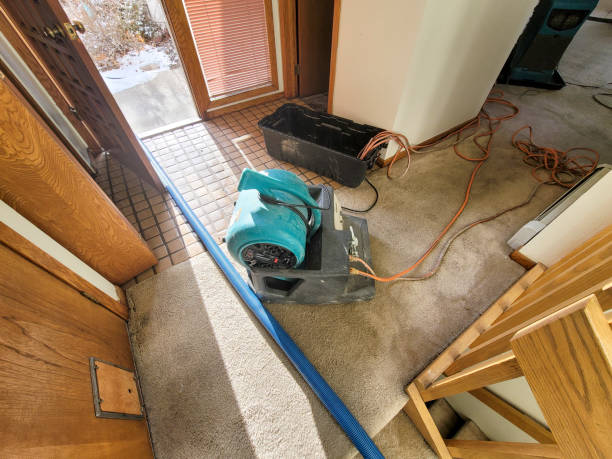  Austin, TX Water damage restoration Pros