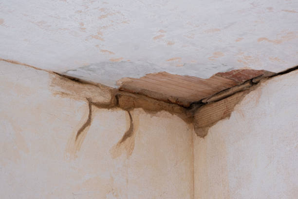 Best Emergency water damage restoration  in Austin, TX
