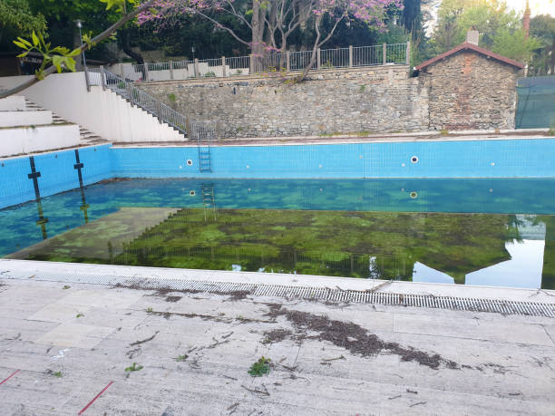 Best Flood restoration services  in Austin, TX