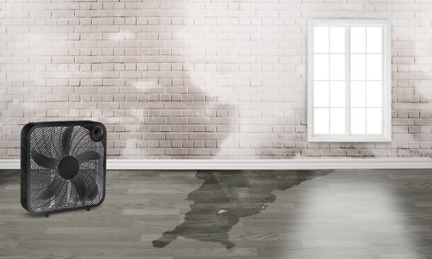 Water damage restoration process in Austin, TX