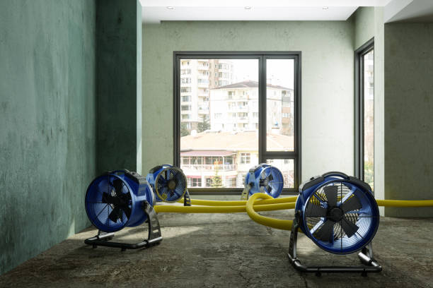 Best Local water damage restoration  in Austin, TX